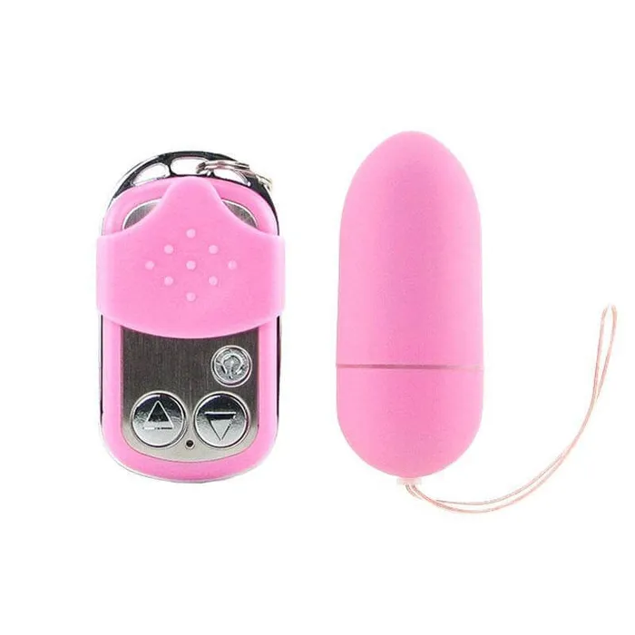 Female Sex Toys 10 Function Remote Control Vibrating Pink Egg Various Toy Brands