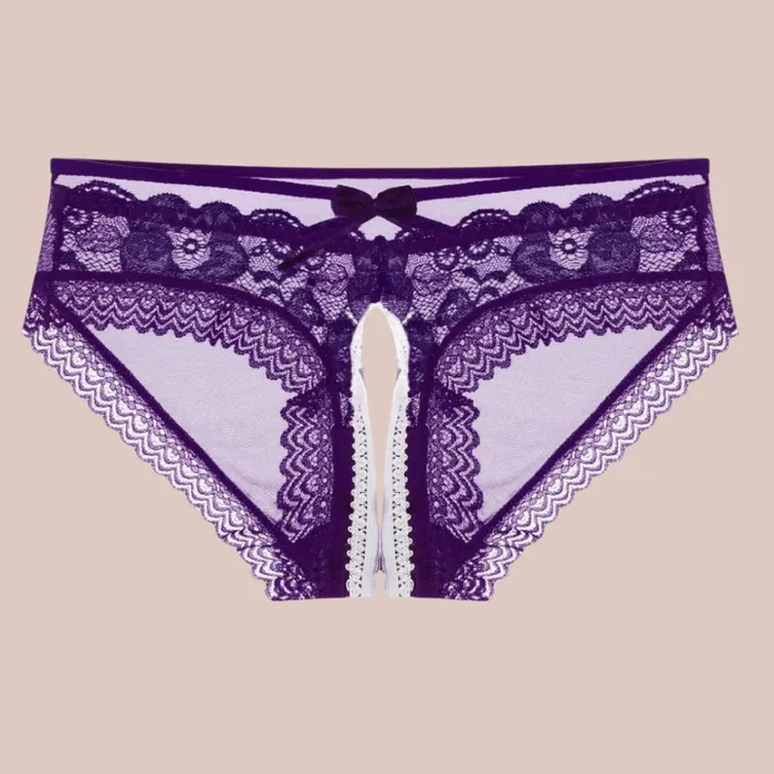 House of Chastity Couples See Through Mesh Lace Panties