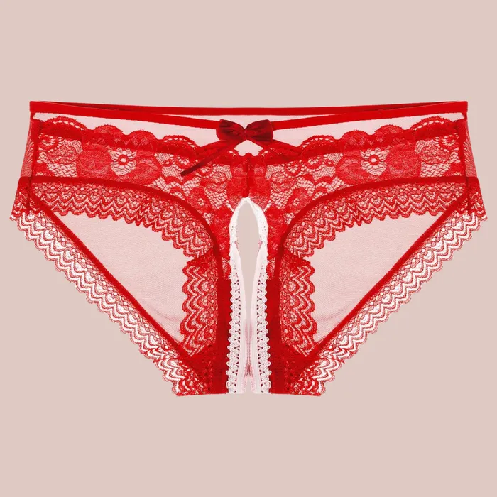 House of Chastity Couples See Through Mesh Lace Panties