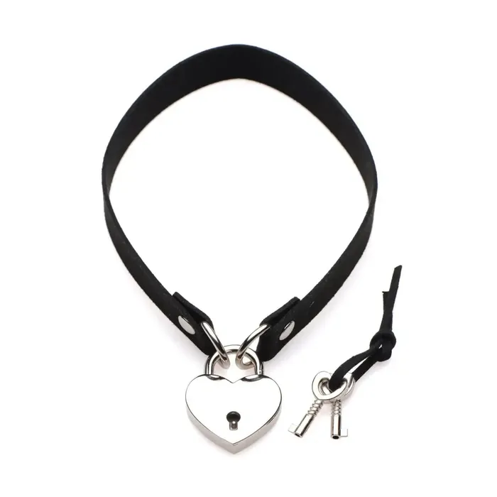 Lockit Heart Choker Master Series Dildos