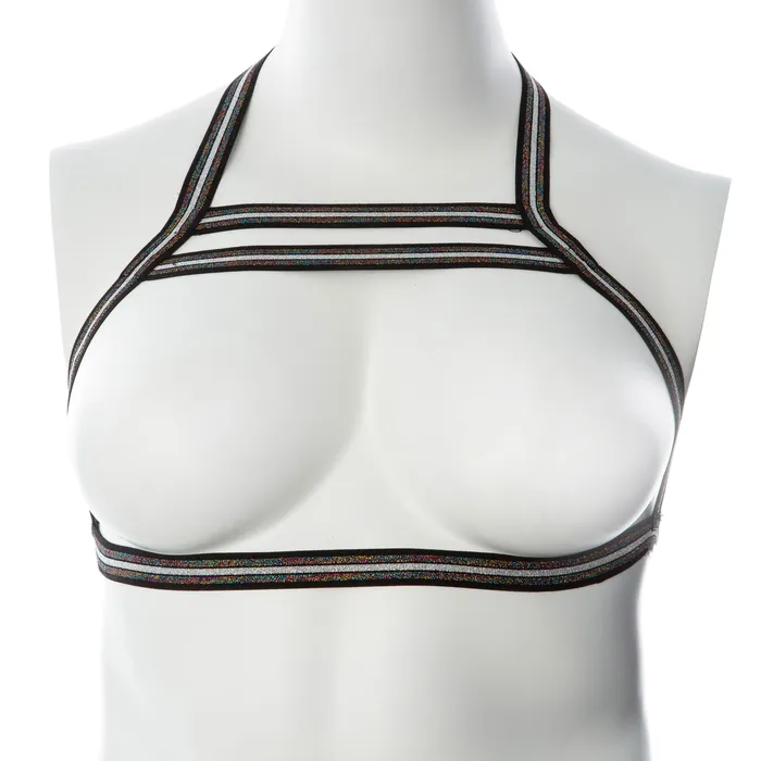 2024 Holiday Sale Specials Gender Fluid Silver Lining Harness Largexxlarge MultiColor Anal