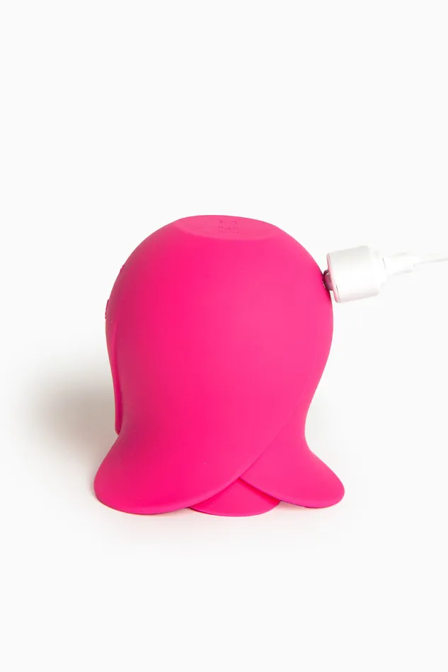 Vibrators Satisfyer SATISFYER PRO 2 MODERN BLOSSOM Succionador