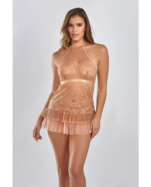 Amber Halter Lace Babydoll wTiered Pleated Mesh Skirt Hem GString Brown LG Icollection Lingerie Couples Amber Halter Lace Babydoll wTiered Pleated Mesh Skirt Hem GString Brown LG Icollection Lingerie Couples