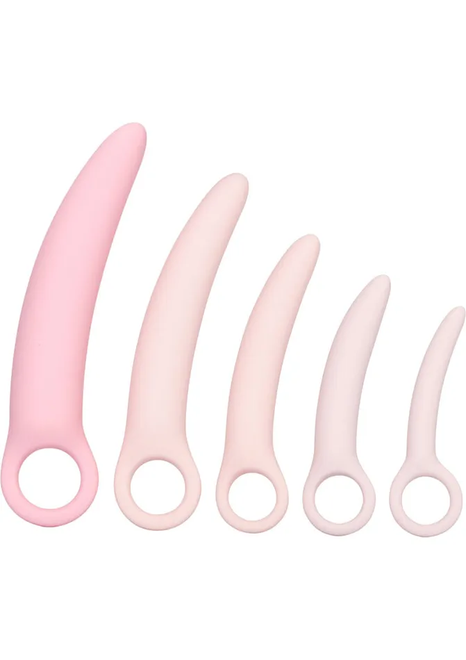 Anal Inspire Inspire Silicone Dilator Kit 5 Piece Set Pink