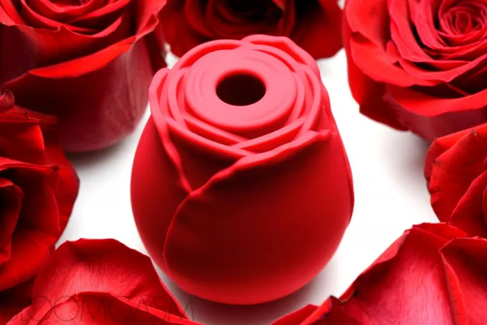 Bloomgasm Wild Rose 10X Silicone Clit Stimulator Bloomgasm Female Sex Toys