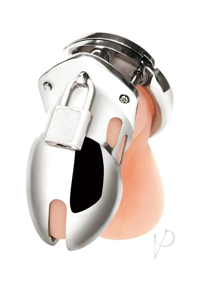 Blue Line Cock Humiliation Chastity Cage Small 275in Stainless Steel Blue Line Cand B Gear Male Sex Toys Blue Line Cock Humiliation Chastity Cage Small 275in Stainless Steel Blue Line Cand B Gear Male Sex Toys
