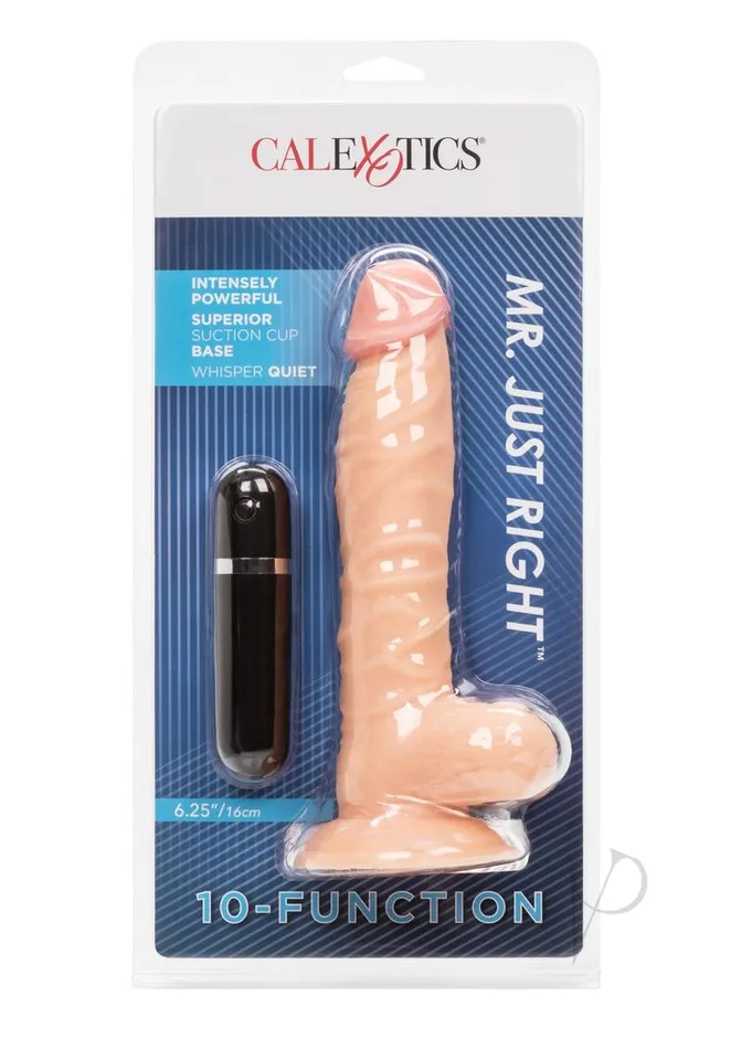 Female Sex Toys Lifelike Dongs Mr Just Right Vibrating Dildo with Bullet 625in Vanilla Female Sex Toys Lifelike Dongs Mr Just Right Vibrating Dildo with Bullet 625in Vanilla