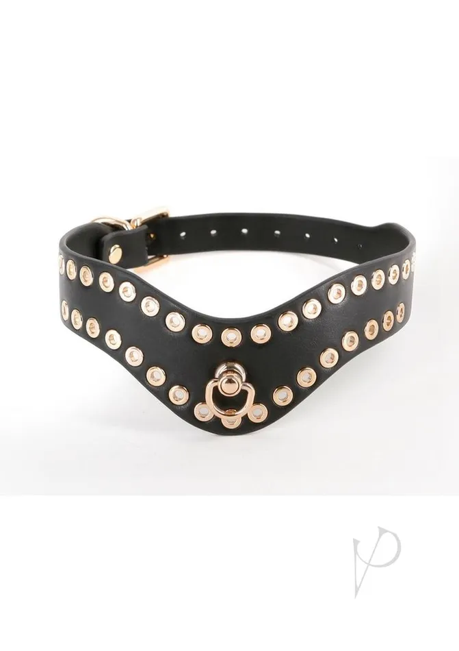 Fetish And Fashion Anal Fetish and Fashion Kali Collar BlackGold Fetish And Fashion Anal Fetish and Fashion Kali Collar BlackGold