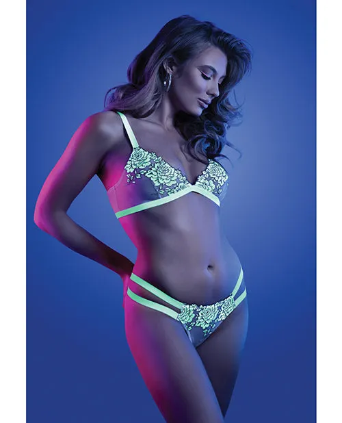 Glow By Fantasy Lingerie Female Sex Toys Glow Night Vision Glow In the Dark Bralette Cage Panty ML Glow By Fantasy Lingerie Female Sex Toys Glow Night Vision Glow In the Dark Bralette Cage Panty ML
