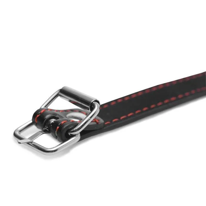 Hound Adjustable Dog Bone Gag Master Series Male Sex Toys