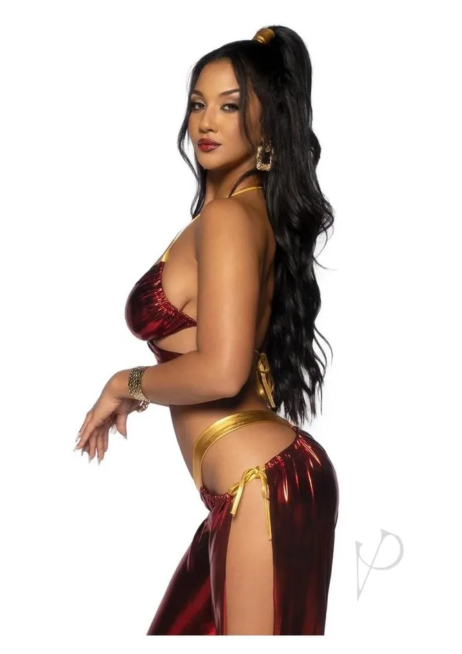 Leg Avenue Male Sex Toys Leg Avenue Ruby Desert Princess Lame Bikini Top and Split Leg CutOut Harem Pants with Side Ties 2 Piece Medium Red Leg Avenue Male Sex Toys Leg Avenue Ruby Desert Princess Lame Bikini Top and Split Leg CutOut Harem Pants with Side Ties 2 Piece Medium Red