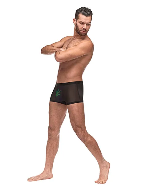 Male Power Anal Private Screening Micro Mesh Modal Pot Leaf Black XL