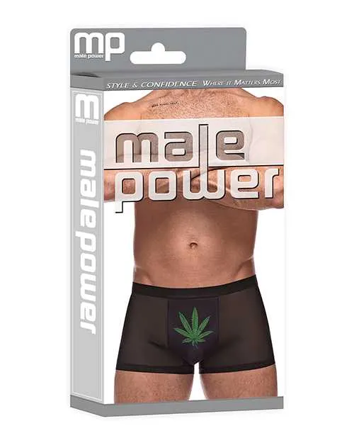 Male Power Anal Private Screening Micro Mesh Modal Pot Leaf Black XL Male Power Anal Private Screening Micro Mesh Modal Pot Leaf Black XL