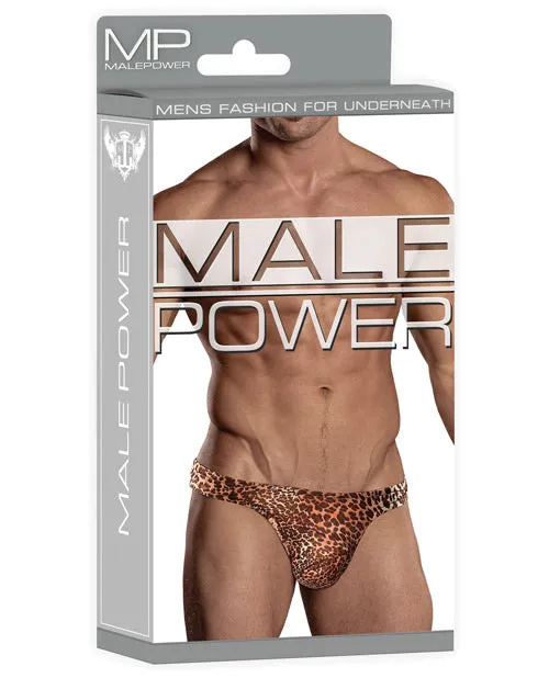 Male Power Wonder Thong Animal Print SM Male Power Male Sex Toys Male Power Wonder Thong Animal Print SM Male Power Male Sex Toys