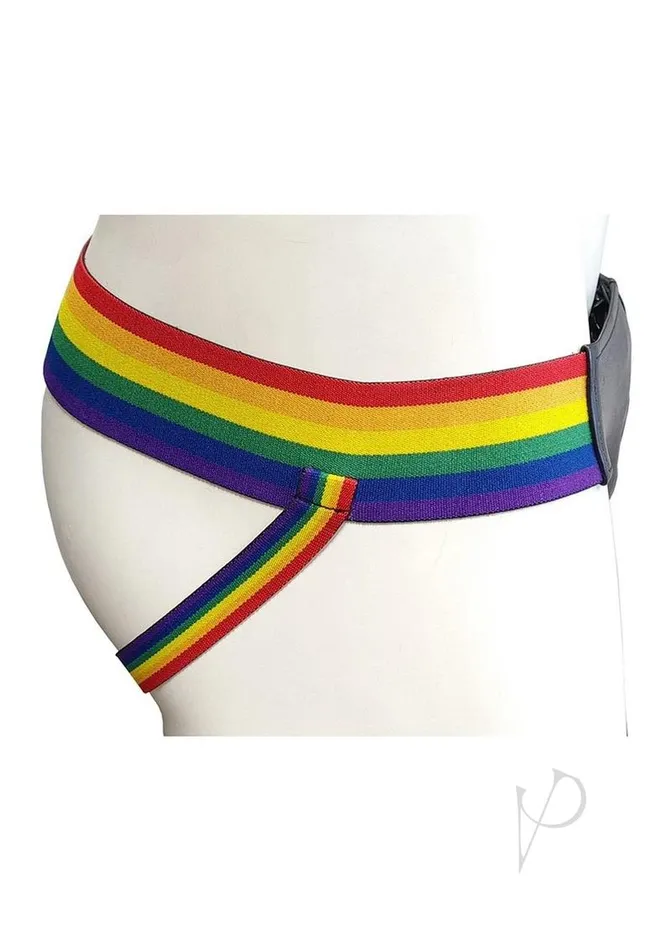Male Sex Toys Rouge Rouge Leather Jock with Pride Stripes Small Multicolor