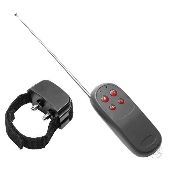 Master Series Male Sex Toys Cock Shock Remote CBT Cock Ring