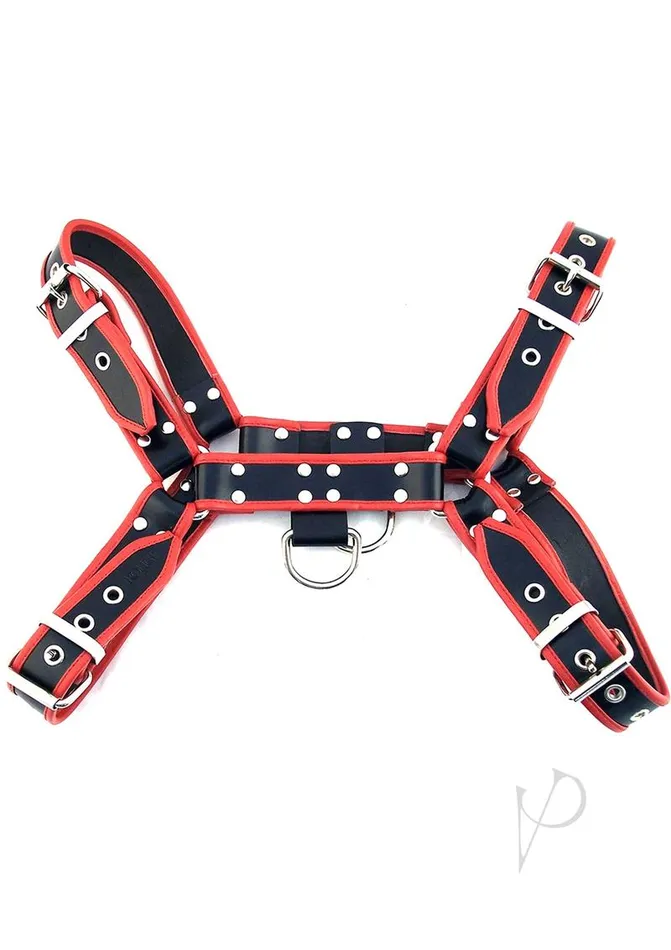 Rouge Anal Rouge OTH AdjustableLeather Front Harness Large BlackRed