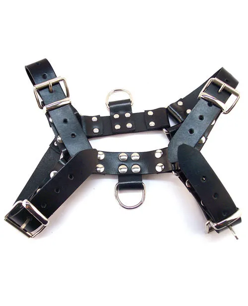 Rouge Anal Rouge Over the Head XLarge Harness Black