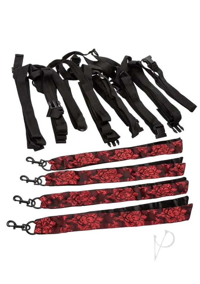 Scandal Anal Scandal 8 Points Of Love Bed Restraint BlackRed