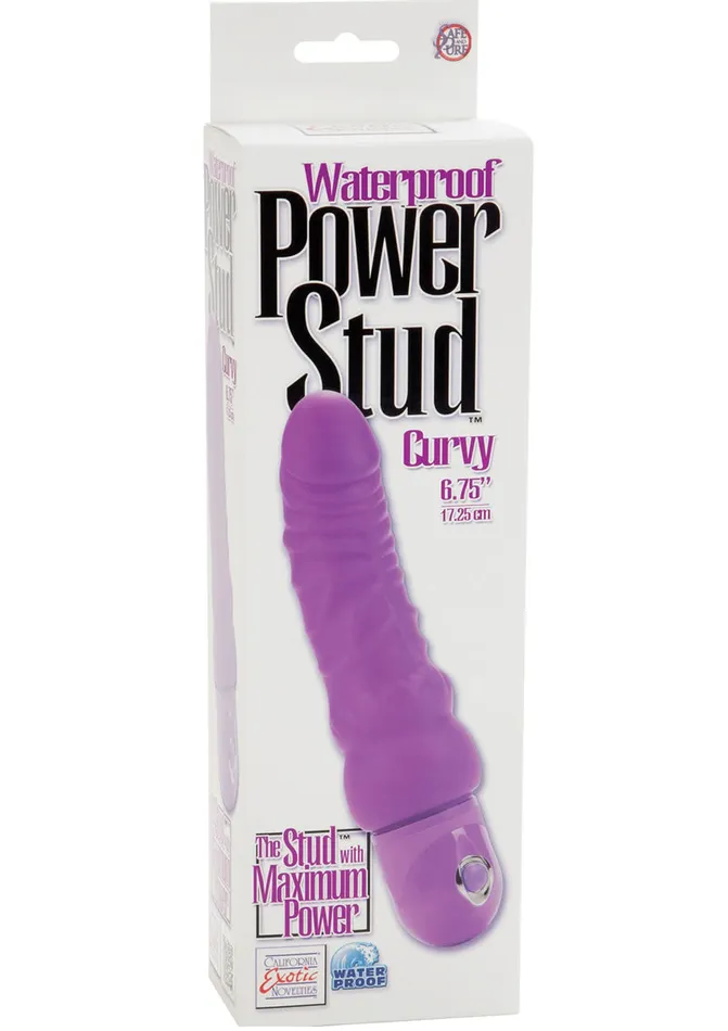 Studs Vibrators Power Stud Curvy Vibrator Purple